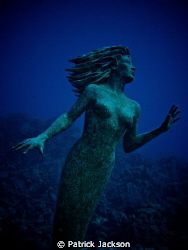The Mermaid of Sunset Reef by Patrick Jackson 
